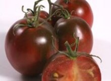 Fleischtomate Schwarze Russische