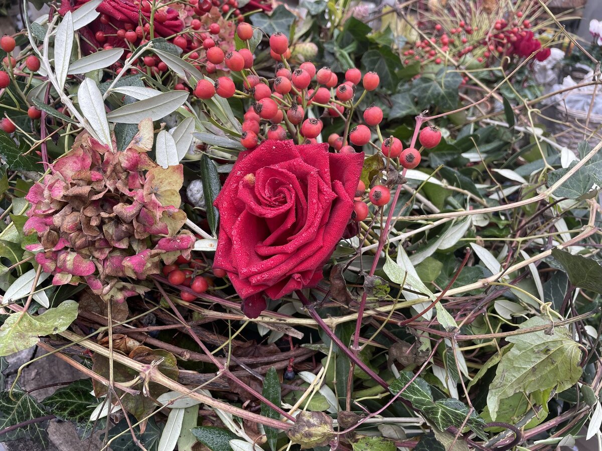 Die Mühlbachgärtnerei Beubl Unser Blumenladen hat heute bis 12 Uhr