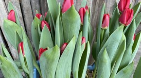 Wir bauen für euch um: 